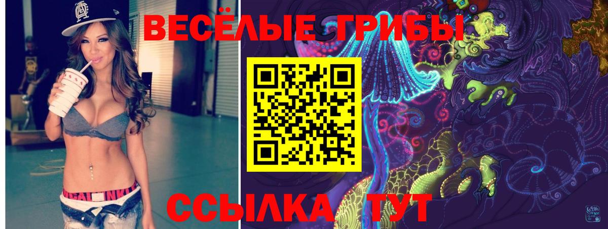 Галлюциногенные грибы мицелий Советский