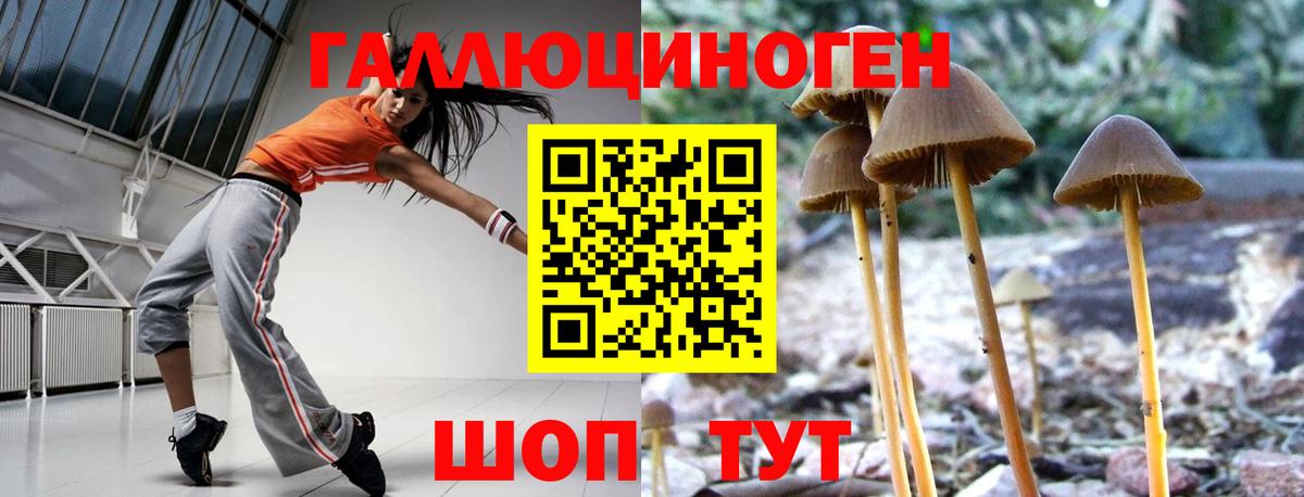 Галлюциногенные грибы Psilocybe  Вход с VPN  Советский 